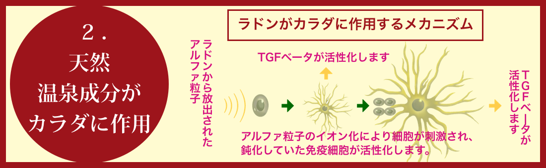 ２．天然温泉成分がカラダに効く