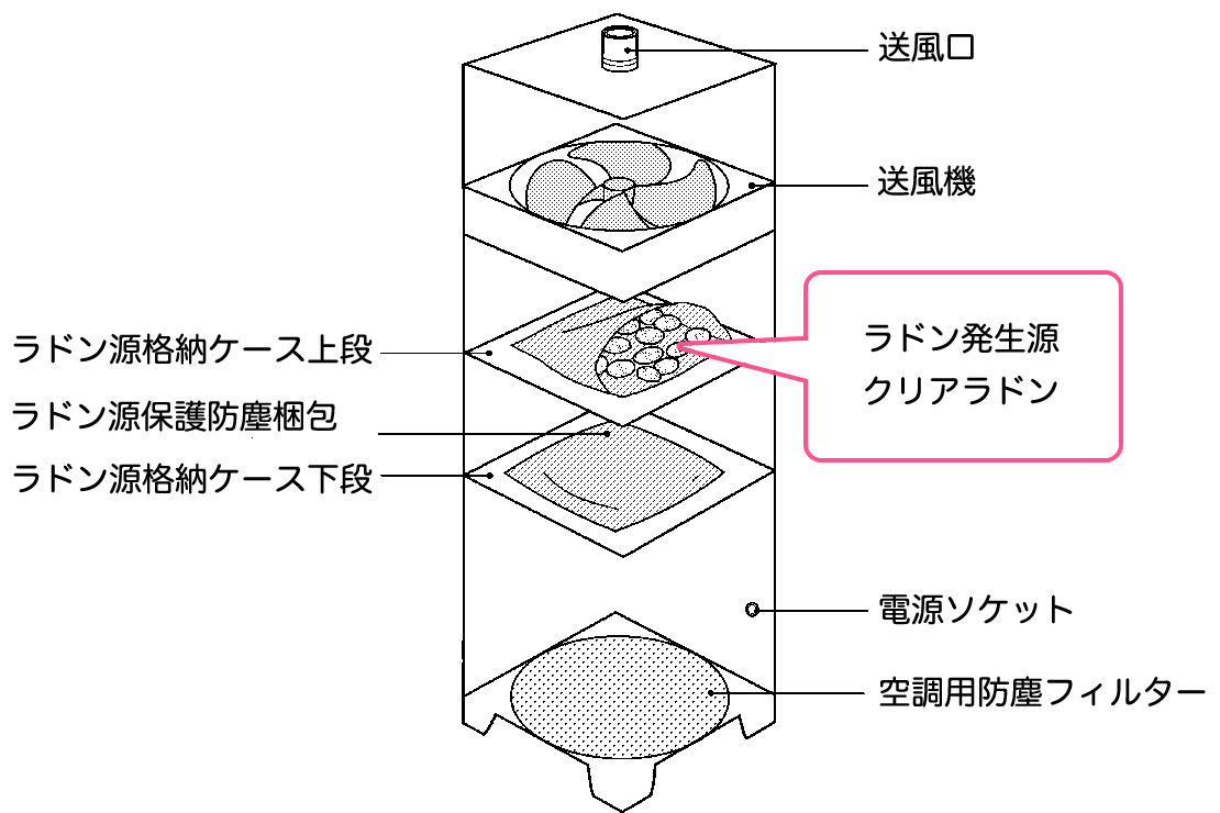 ラドンナ構造図